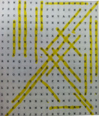 December Print Issue Word Search Answer Key The Pitch