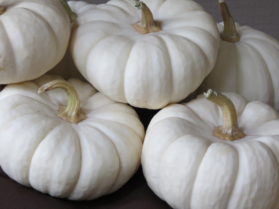 White punpkins are all the rage this Halloween season. Use crayons and  a hairdryer for a creative twist without the knife.