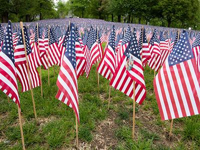 American flags were planted in honor of the fallen soldiers in Massachusetts.