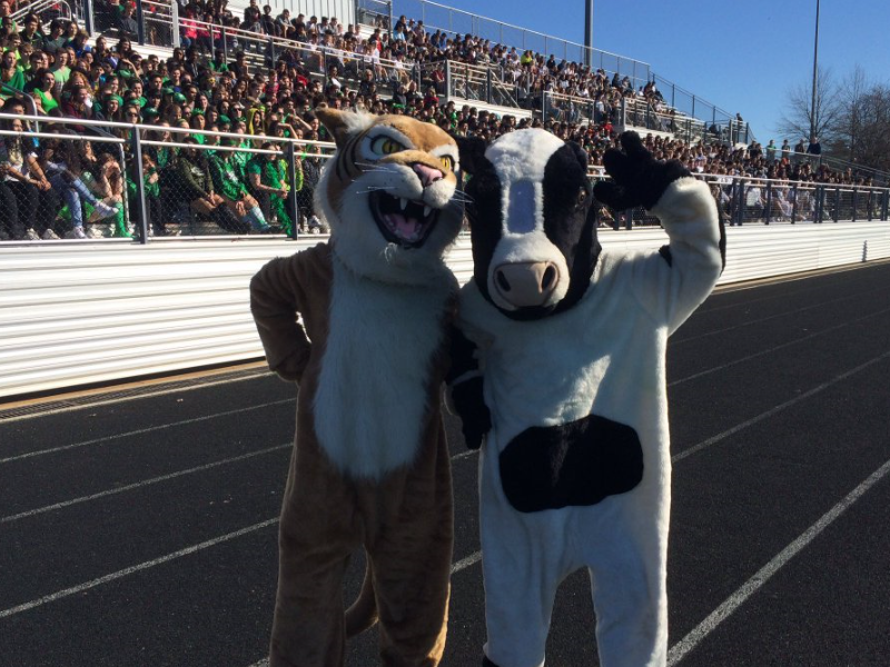 Spring pep rally is a schoolwide hit