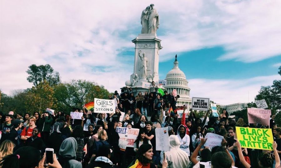Hundreds of students from all over the DC metro area rally in front of the Capitol building to protest Donald Trumps policies and behavior. Photo courtesy of Rachel Rosenheim.