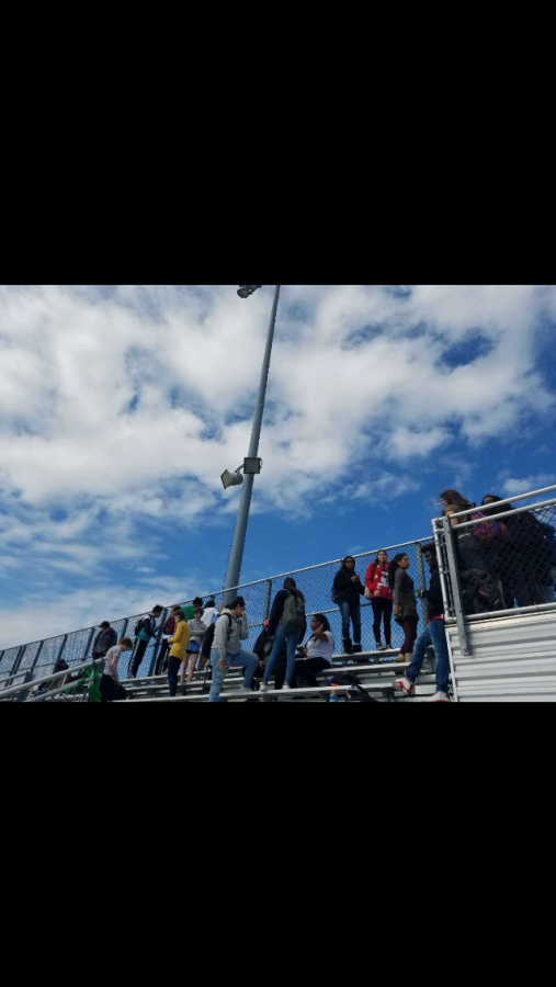 Students+Protest+Trump+By+Walking+Out+Of+Class