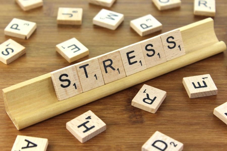 Mind-body-action: The guide for coping with stress