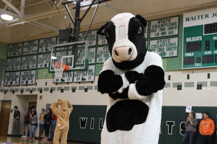 Students Enjoy Time at Pep Rally