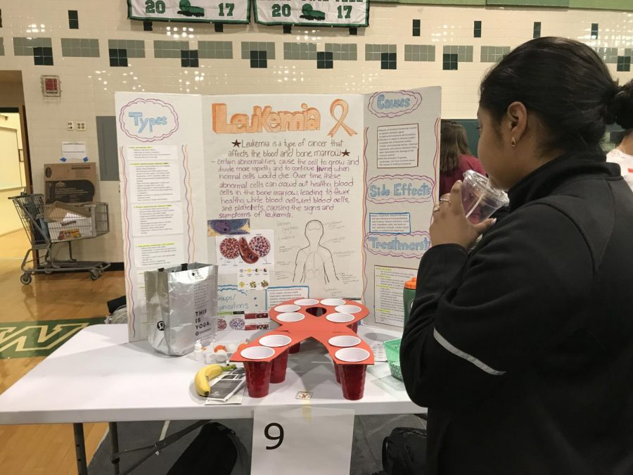 Health Fair educates with unique strategies