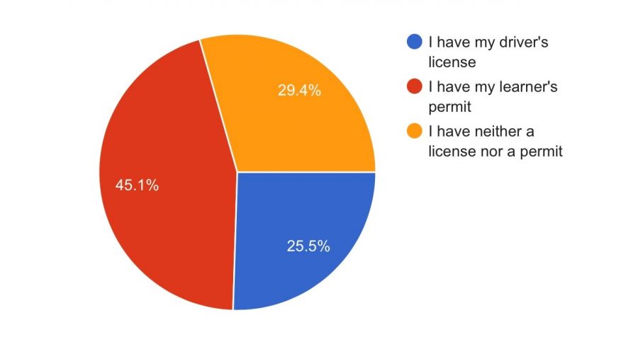 A poll of 66 juniors was taken, and the data collected is show in the graph. The students were asked whether they have a license, permit or neither. Photo by Annika Backer