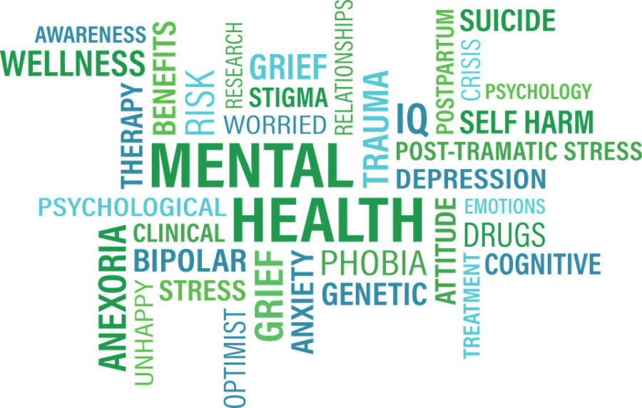 In light of heavy stress that high school students often experience, WJHS Principal Jennifer Baker is sponsoring a mental health event to grant students a much-needed break. Photo courtesy of Flickr.