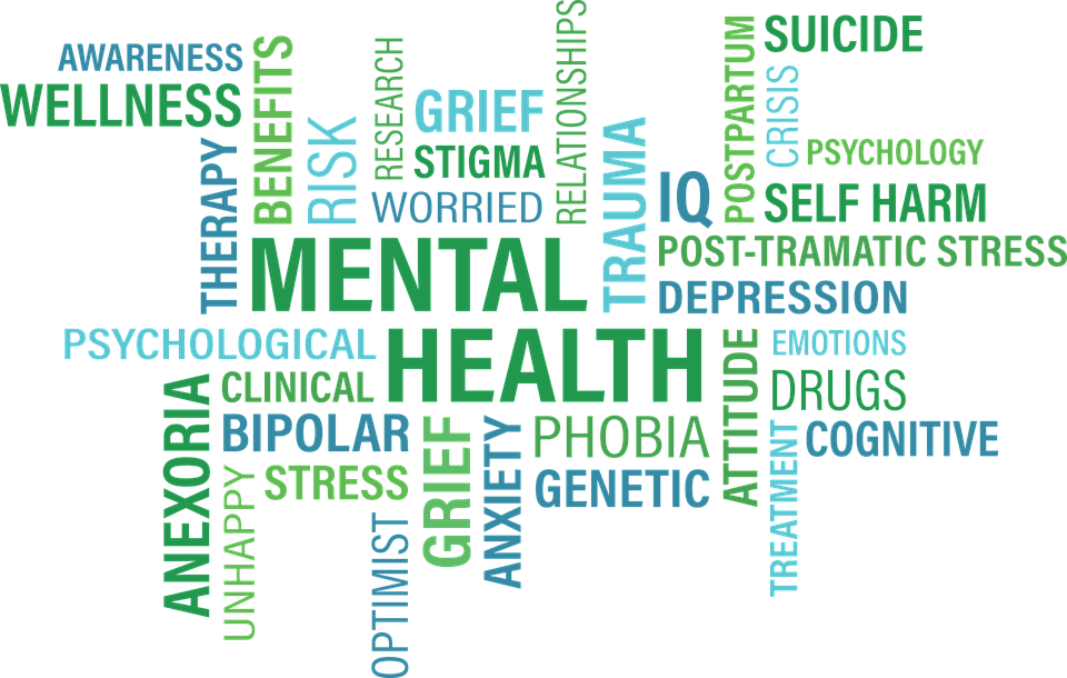 In light of heavy stress that high school students often experience, WJHS Principal Jennifer Baker is sponsoring a mental health event to grant students a much-needed break. Photo courtesy of Flickr.