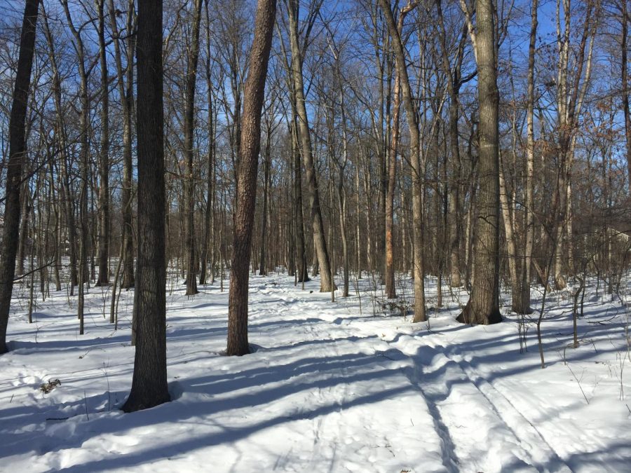 Educator revolutionizes days off with Moco Snow