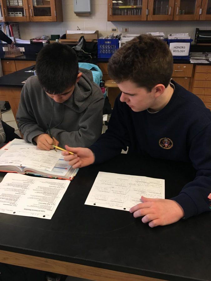 Students get extra help with their science classes during lunch through the Science National Honors Society. There, students have the opportunity to ask questions from other students or teachers. 