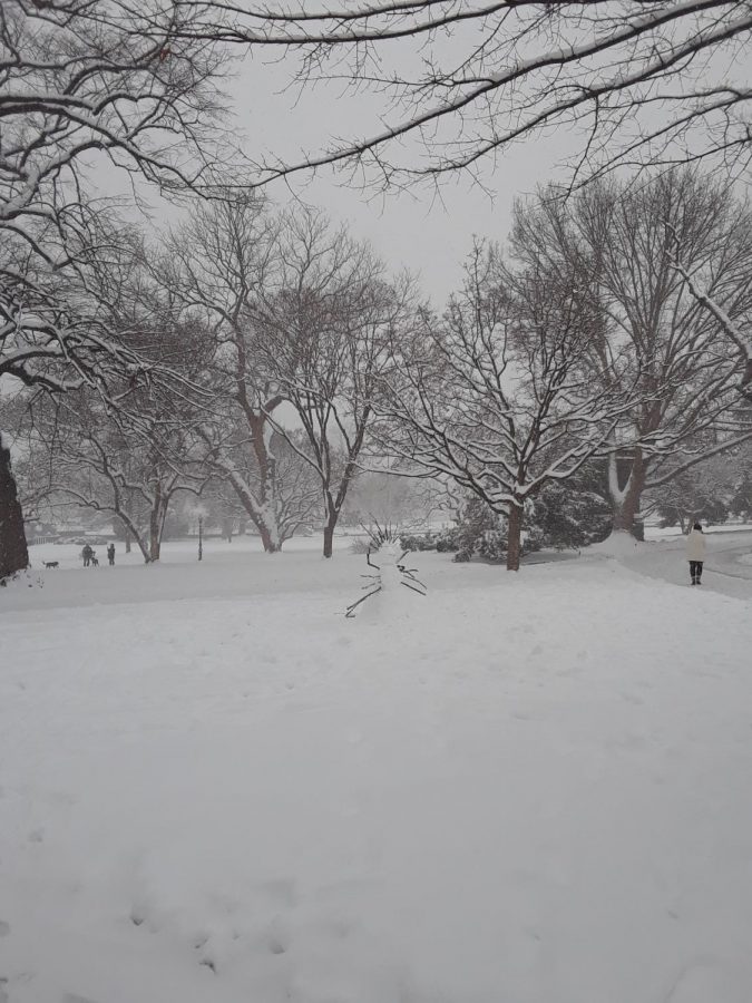 Trees stand still covered with snow. Students got school cancellations and delays this winter despite there not being a ton of snow. 