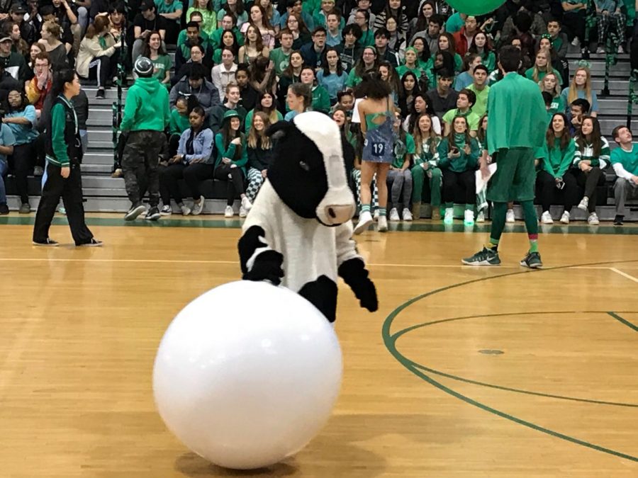 Shelly the Mad Cow at a recent pep rally. As she looks down, she decides to contemplate why she ever thought some of her life choices were good ideas.