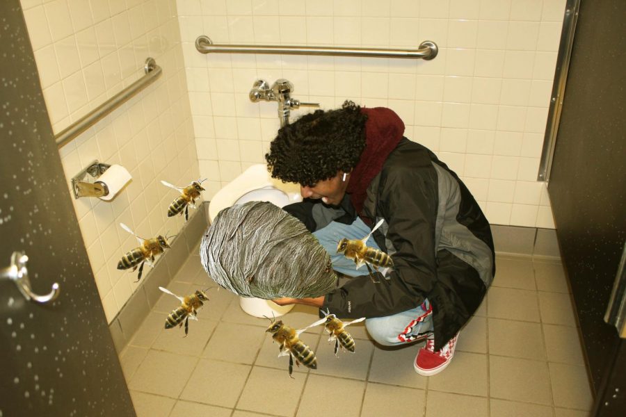 Senior Yoni Mesfein chows down on an active beehive in a women's bathroom stall
