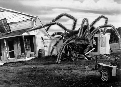 Pictured above is one of the many gargantuan arachnids to appear in The Giant Spider Invasion, that is sure to evoke dread, terror, and despair from all who encounter it.

