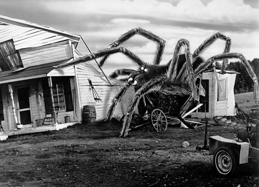 Pictured above is one of the many gargantuan arachnids to appear in The Giant Spider Invasion, that is sure to evoke dread, terror, and despair from all who encounter it.
