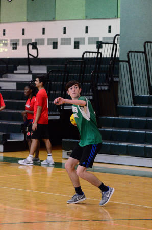 Handball cut from fall sports roster