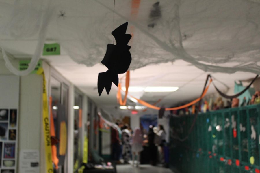 Students roam the hallway as the bats fly above them. Spiders crawled the spider webs around the ceiling.