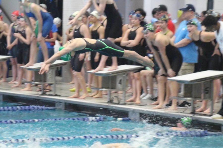 Sophomore Lianna Rosman dives into the water during a school meet. Winter sport athletes have prepared during the offseason to contribute to the success of their teams.