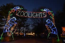 A perfect activity to do during winter break is to visit the Smithsonian Zoo at night. During the holiday season the zoo is covered in festive holiday lights.