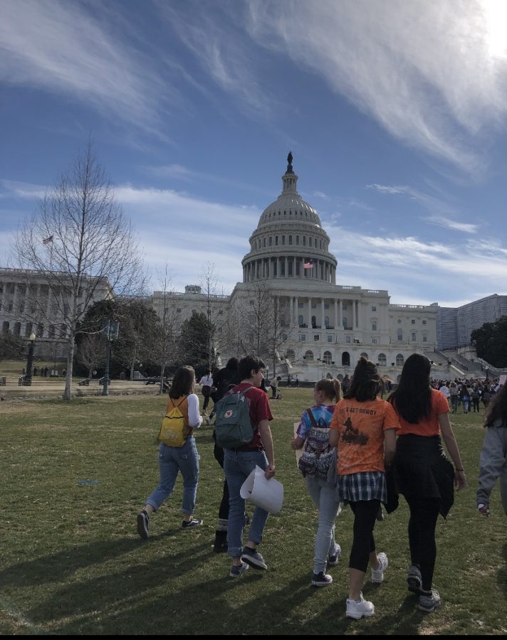 Thousands of students from all over the D.C. Maryland and Virginia area protest gun violence in front of the Capitol. 