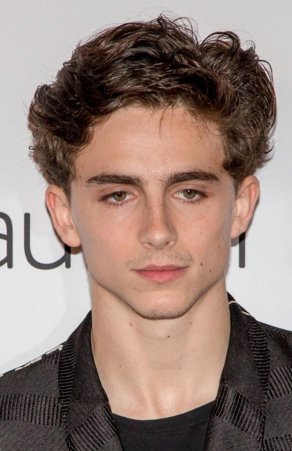 Actor Timothee Chalamet at the 2018 Toronto Film Festival.