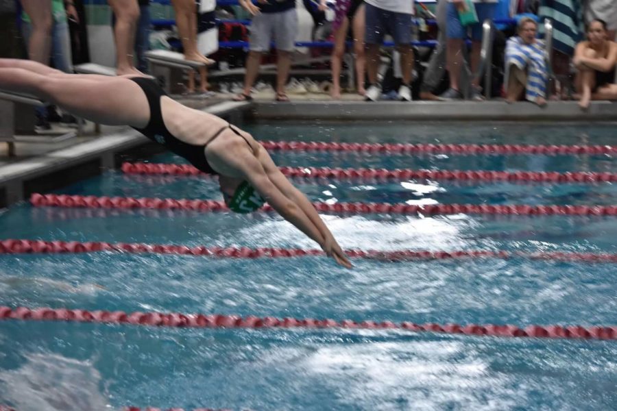 Freshman Marren Conze is pictured diving in at one of her meets. Strong underclassmen have always played a key role in the success of the team.