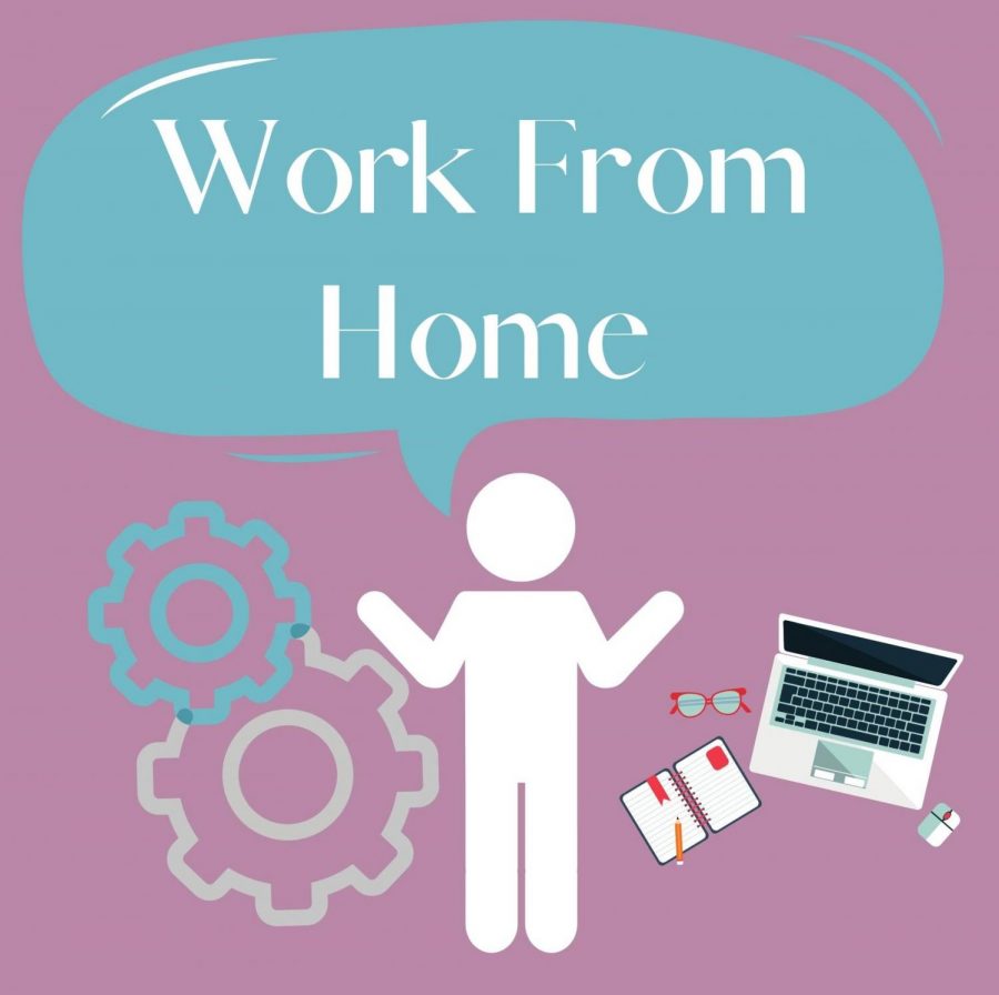 There are multiple ways to work from home over the summer!