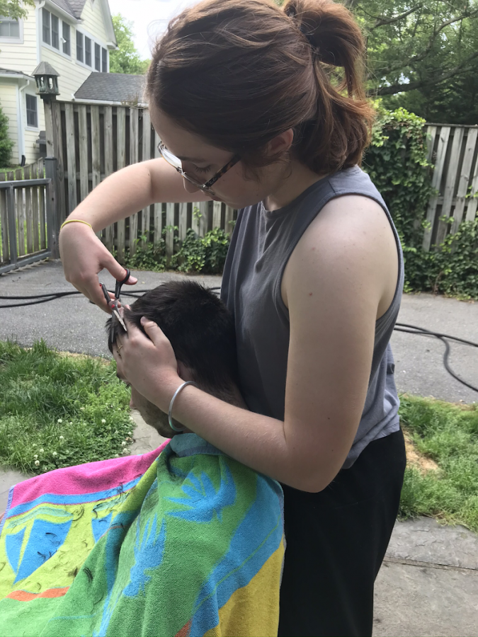 Senior Ellie Flynn cuts brother Charlie Flynn’s hair on Friday, June 5. This was Flynn’s second time giving a haircut. 