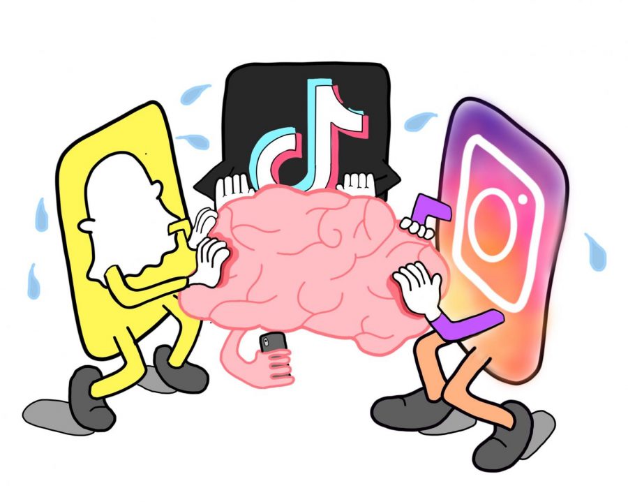 Your Brain on Tiktok