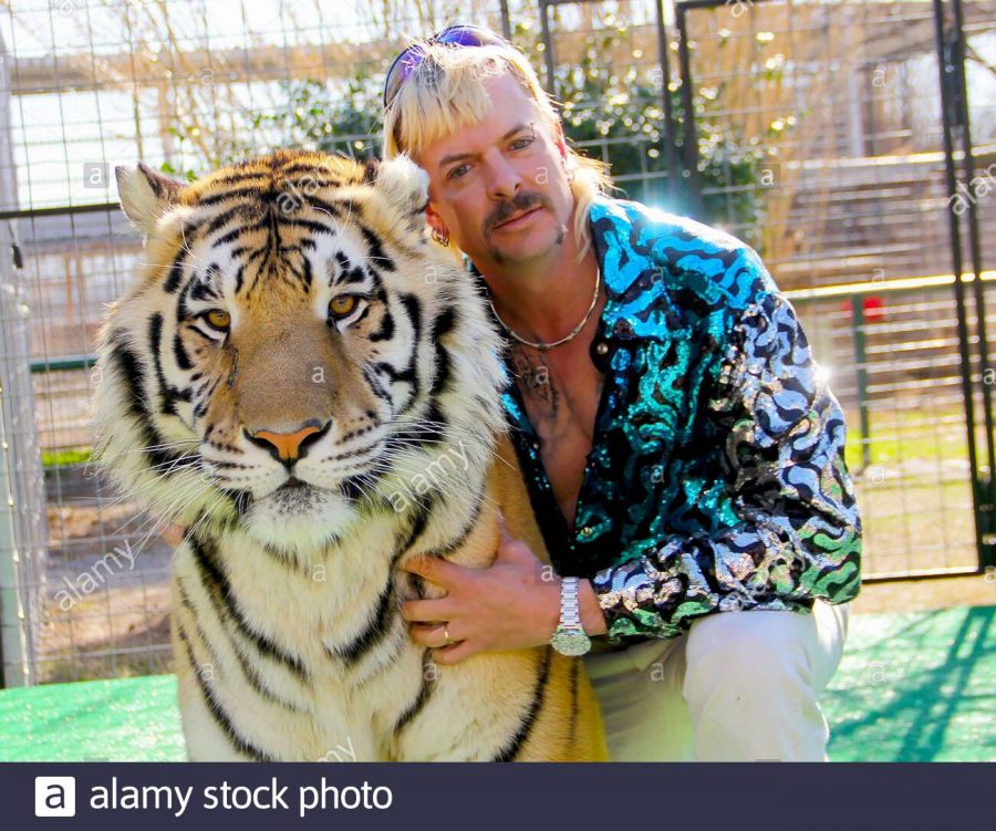 Joe Exotic, one of the stars of Netflixs Tiger King pictured with a tiger. Tiger King a popular tv show released during quarantine.