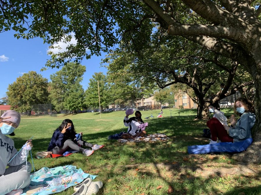 Members of the knitting club gather at a local park to knit for charity. Their finished products will be delivered to nearby hospitals for hospitalized children.