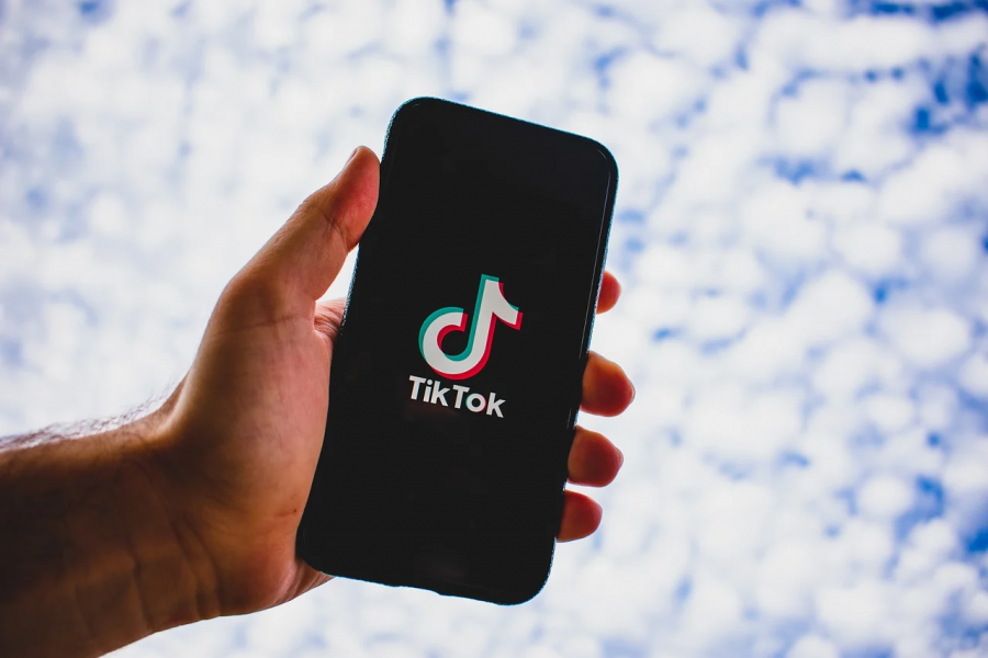 Quarantine has left many teens with nothing better to do than scroll through tiktok for hours on end. As a result, some are feeling nostalgic for tiktok trends that were popular less than a year ago.