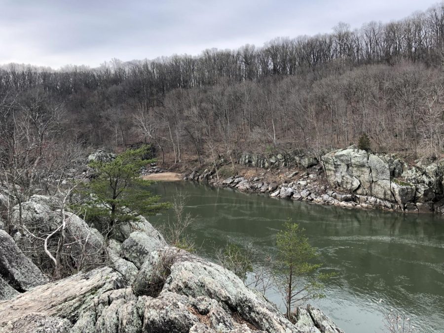 The Potomac River rushes past a rock scramble in Section A. The Billy Goat Trail has been one of most popular day hikes in the DC-Maryland area for years.