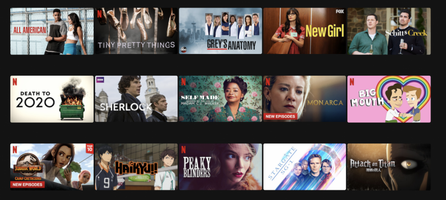 Netflix displays just a handful of shows and movies that have English subtitles. Subtitles allow for increased understanding and can broaden viewers horizons beyond contents in their native languages.