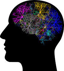 In such a difficult time, MCPS should be priotizing mental health. Its critical.