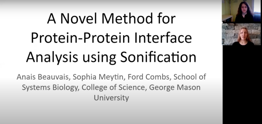 Junior+Sophia+Meytin+presents+their+research+at+a+virtual+student+conference.+Meytin+worked+on+the+research+under+the+mentorship+of+Ford+Combs%2C+a+graduate+student+at+George+Mason+University.