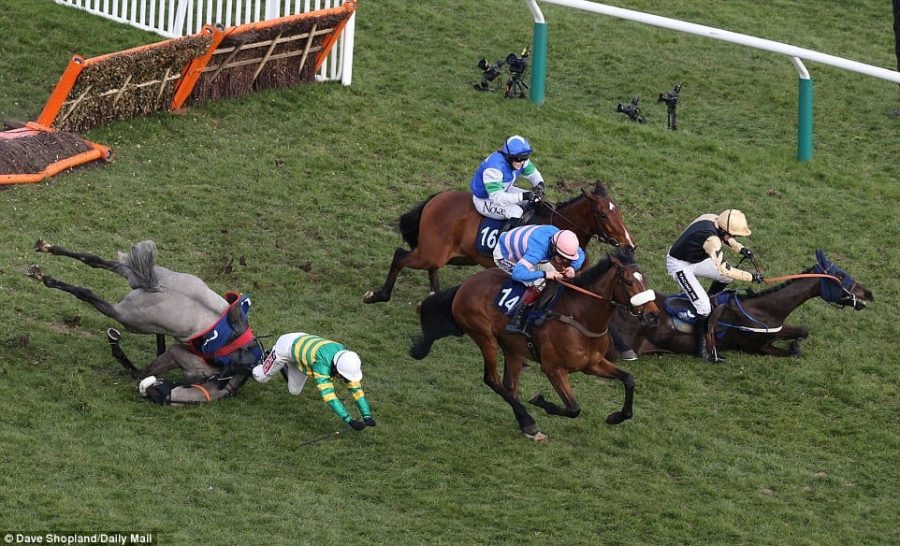 One year during the Fred Juvenile Handicap Hurdle race, Jockey Ruby Walsh’s horse, Voix Du Reve (right) fell. Jockey Berry Geraghty’s horse, Campeador (left), also fell during this race.