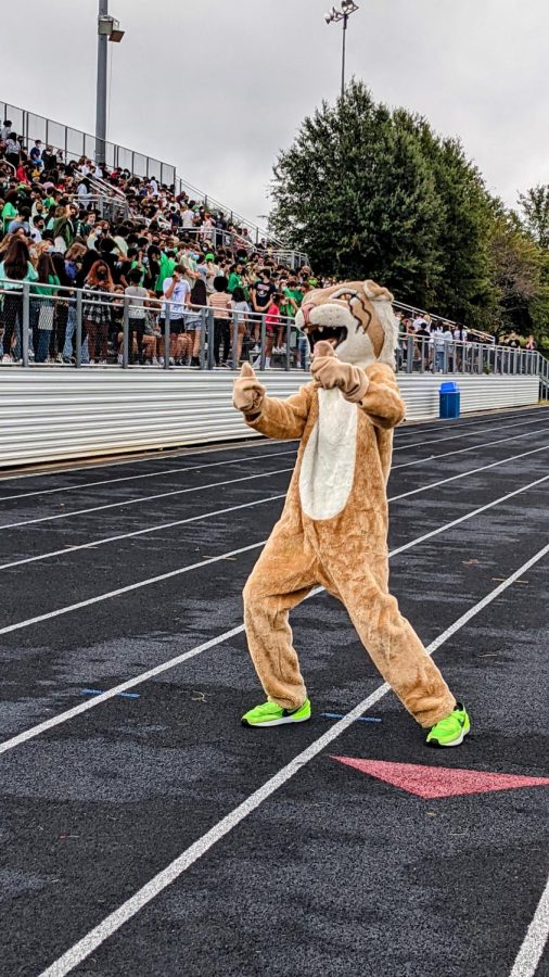 WJs Wildcat mascot welcomes students as they arrive at the years first pep rally. For many underclassmen, this was their first pep rally ever. Even juniors only attended a few during their freshmen/last year in person.