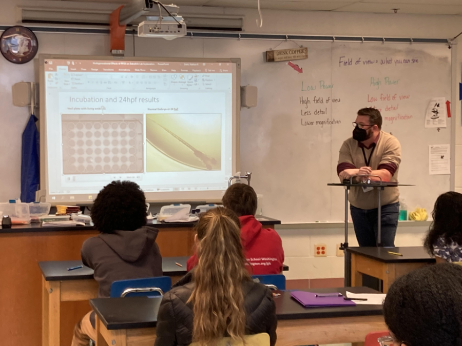 Nathan Diehl teaches his APEX Biology class. APEX Biology 9 is one of the few cohorted classes that is offered by APEX, along with APEX English 9 and 10.