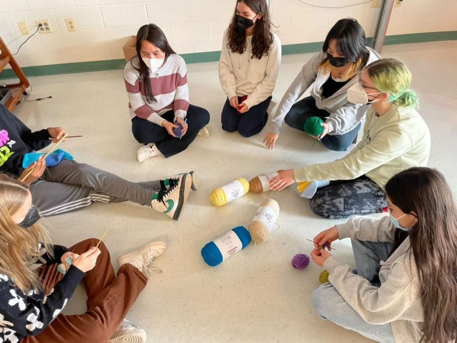 From left: sophomore Natalie Merberg, senior Sam Williams, sophomores Togzhan Zhumadil, Emma Burlina, Erik Kim, and freshman Ava Posin and Joselyn Toyoda. The Crochet/Knitting Club gathers on Tuesdays during lunch to crochet using a variety of yarns and hooks. At first crocheting might seem confusing, but with practice, it eventually becomes muscle memory and you can create so many things, like hats or blankets. Crocheting is really fun, Burlina said.