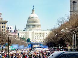 The March for Our Lives movement protests on the street to gather support and sway politicians. People came together to rally in the National Mall, spreading their message about the need for gun control.