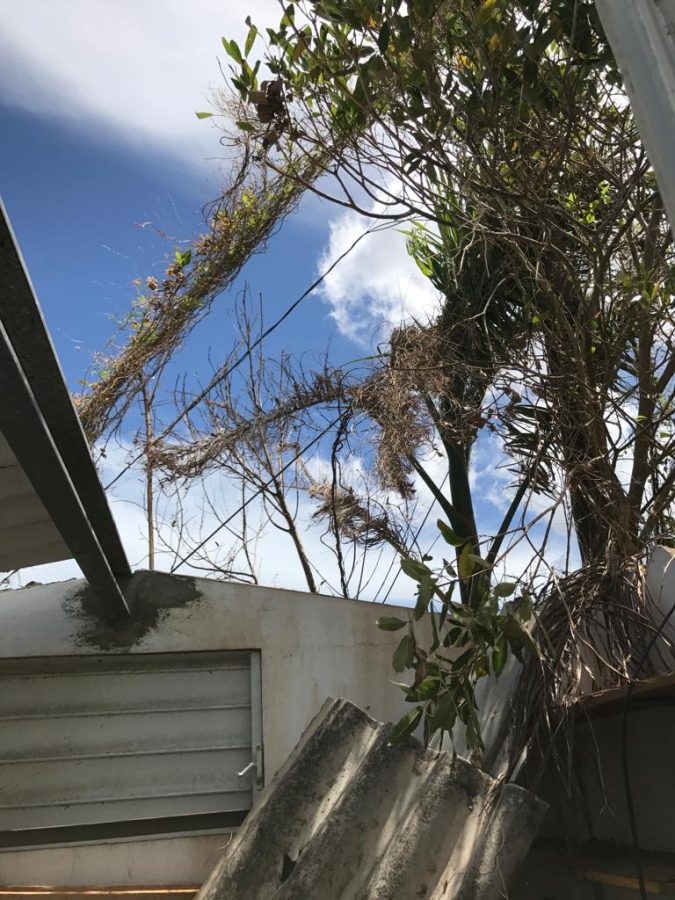 The roof of Cruzs shed rests against the metal siding, haven been ripped off by the heavy winds. Years after the hurricane, billions of dollars of aid have still not been appropriated to help rebuild the lasting damage.