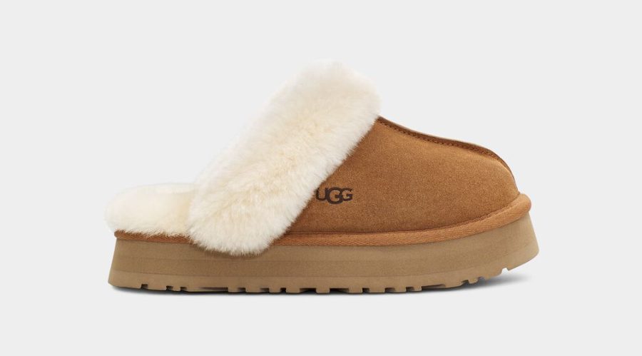 Splurge: UGG slippers - $100

Slippers are the best way to be comfortable while still looking cute at school. 

https://www.ugg.com/women-slippers/disquette/1122550.html?dwvar_1122550_color=CHE