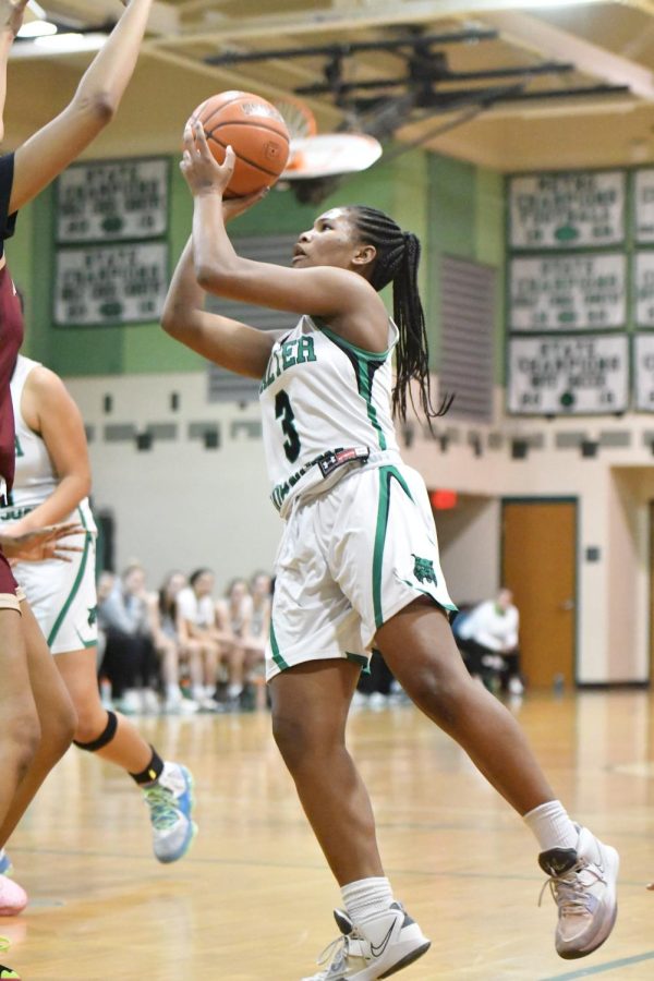 Sophomore guard Kendall Alexander goes up for a contested layup against the Paint Branch Panthers. Alexander scored 20 points as the Wildcats defeated the Panthers 62-29.