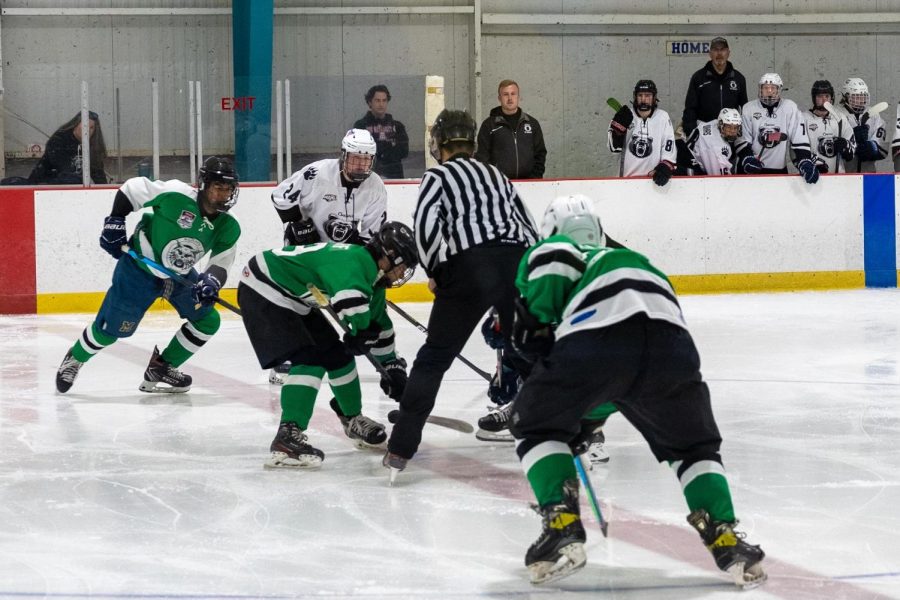 Senior captain Ethan Birndorf lines up for a faceoff against Marriotts Ridge. The Icecats went on to win the game in style, 12-1.