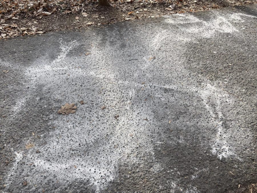 This photo was taken on the Rock Creek Trail near Viers Mill Local Park on Feb. 11. Recent rises in antisemitism acts have occurred in the WJ community in places like Bethesda and Tilden Middle School.