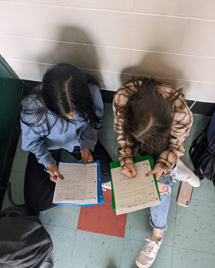 Seniors Ashwathi Menon and Jennifer Shea collaborate on Law II homework. Law is a semester class that allows students to destress while learning about a topic of interest.