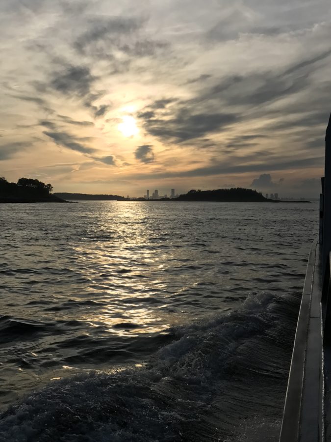 One of the many beautiful sights on the whale watching tour in Boston. The whales come right to the boat to  splash around in the water and say “Hello” to the crowds marveling at the sights.