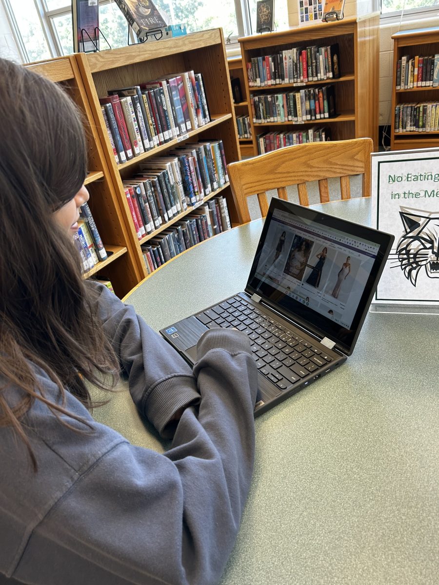 Junior Lena Sbaschnig shops for dresses on the Windsor website. “I prefer in-store shopping so I can try on the dresses but online shopping has many more options, Sbaschnig said.