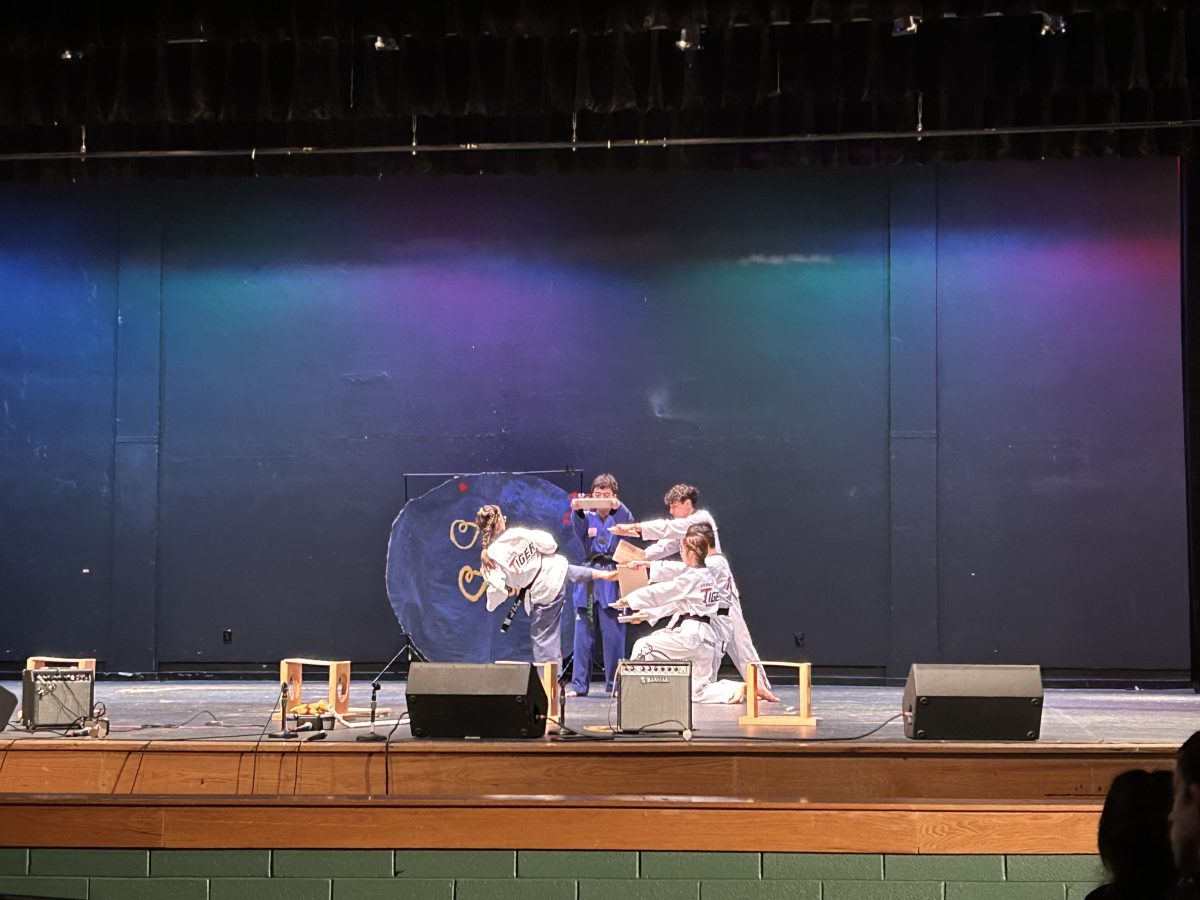 WJ Taekwondo club performs a demonstration with senior president Ruth Cho showing advanced techniques and skills by breaking three boards with kicks.